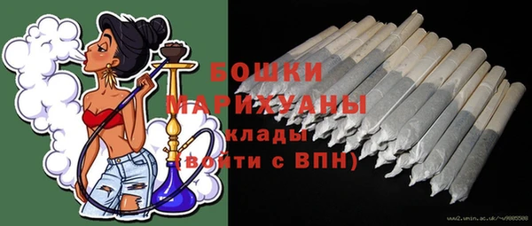 бошки Алексин